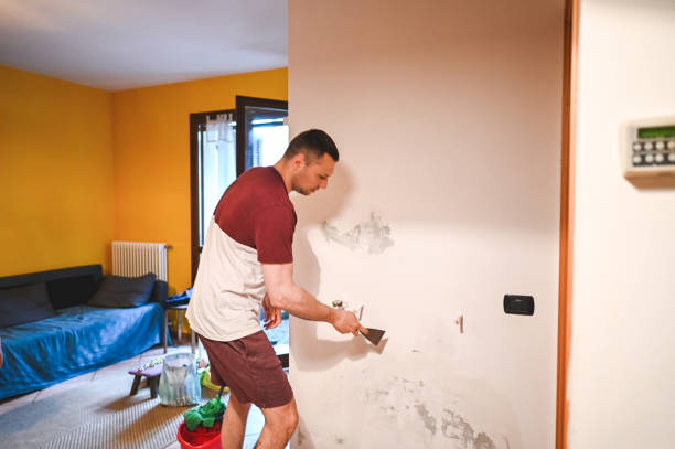 Best Post-Remediation Services in Willow Oak, FL